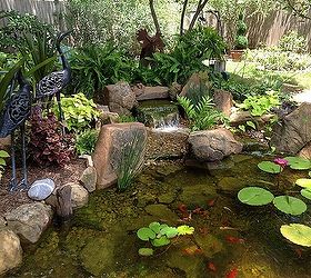 charming backyard water garden in richmond tx features a constructed wetlands filter, gardening, landscape, ponds water features, An additional waterfall was created on the back of the pond using an Aquascape Waterfall Spillway This waterfall helps keep the water aerated and circulated so that we don t have stagnant areas in the water garden