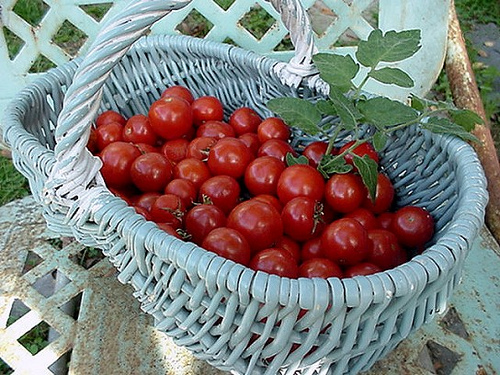 grow the 7 most profitable vegetables in your garden, gardening, Cherry tomatoes are definitely worth growing