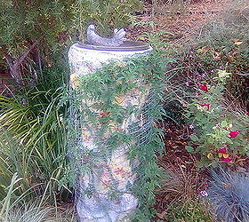 concrete pedestal update, gardening, The Jasmine I planted is starting to cover the Pedestal i posted a while ago