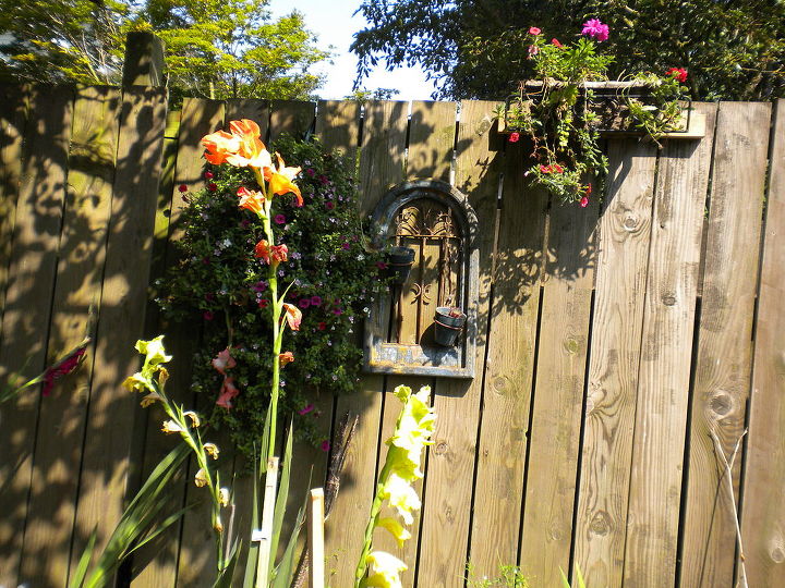 my backyard garden, flowers, gardening, outdoor living, The fence