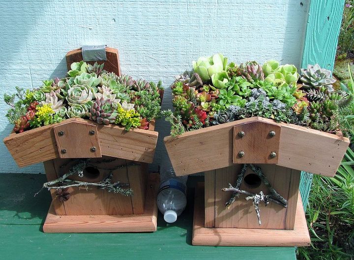 birdhouses, diy, gardening, outdoor living, pets animals, woodworking projects, Some of the first planted houses used as gifts