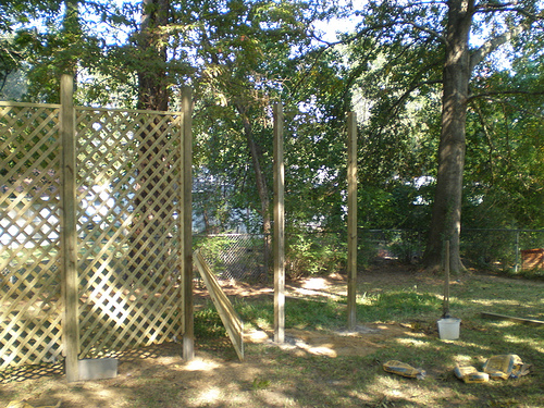 dicas de um especialista para construir uma trelia em seu jardim, Aprenda a construir uma parede de treli a Foto The Tim Channel Flickr