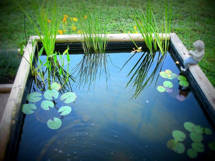 koi pond, outdoor living, ponds water features, Pink white and yellow water lillies purple pickerel rush water iris both white and cat tails