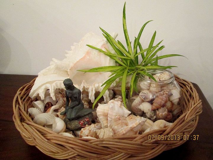 seashell decor in a basket inspired by the posts on hometalk, crafts