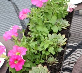 back deck makeover pergola reveal, decks, fireplaces mantels, outdoor furniture, outdoor living, painted furniture, Window box full of petunias succulents serve as a centerpiece