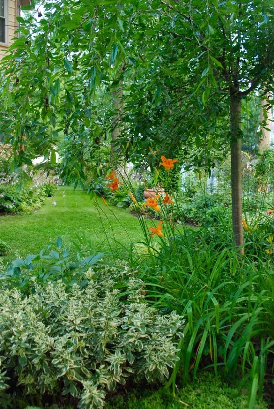 jardinagem na pensilvnia julho de 2013, Vista de Cherry Corner que ainda est cheia de flores de daylily e Shadow Path que est cheia de flores de hosta roxas