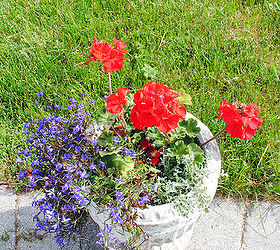 my favorite flower pot combination, flowers, gardening
