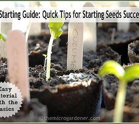Seed Starting Guide: Quick Tips for Starting Seeds Successfully