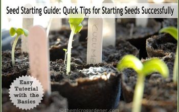 Guia de cultivo de sementes: dicas rápidas para você começar com sucesso