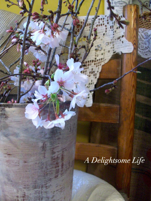 cheery cherry blossoms in vintage buckets, home decor