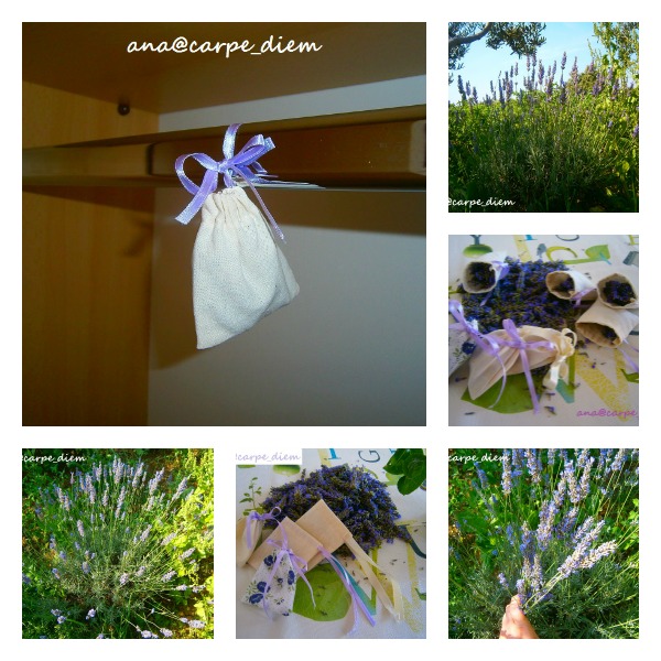 simple lavender bags, gardening, I hanged them in wardrobes