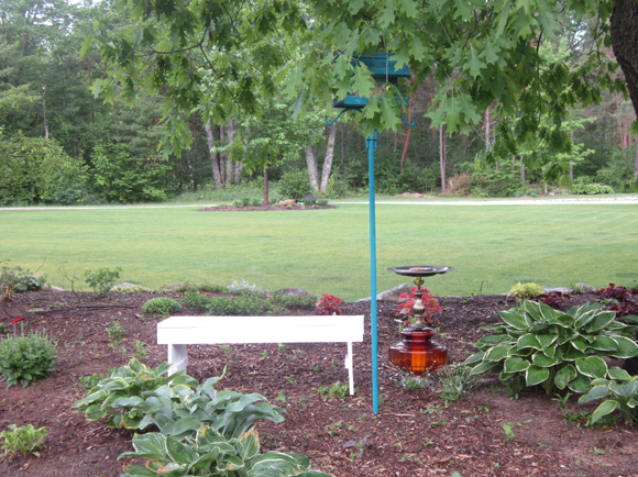 diy lamp birdbath feeder, gardening, repurposing upcycling, Picture of the lamp birdbath feeder in my garden