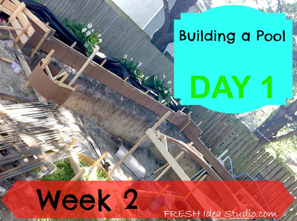 week 2 of counting down to a backyard escape, outdoor living, pool designs, They dug the hole Week 1 And then they put in they framed it out in wood which is what you see here