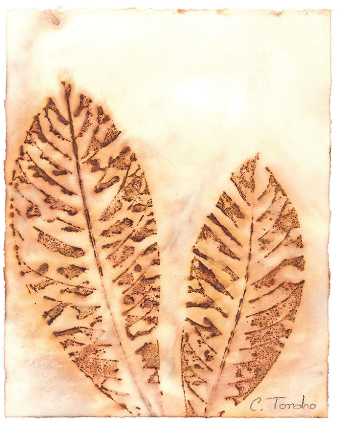 ecoprint art created by steaming leaves against watercolor paper, composting, crafts, go green, Loquat leaves 10 x 8 inches ecoprint on watercolor paper