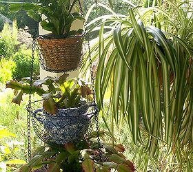 repurposing in the garden, gardening, repurposing upcycling, 3 tiered hanging veggie holder shows off houseplants on summer vacation