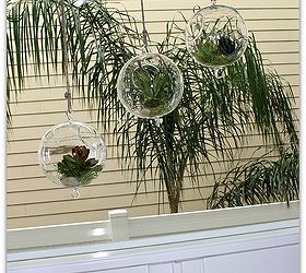 make a easy and versatile terrarium in no time flat, crafts, gardening, succulents, terrarium