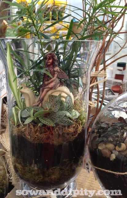 terrariums in all shapes and sizes, crafts, gardening, terrarium, This fairy came with her own snail