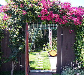 the gate to my backyard, gardening, outdoor living