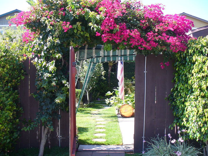 the gate to my backyard, gardening, outdoor living