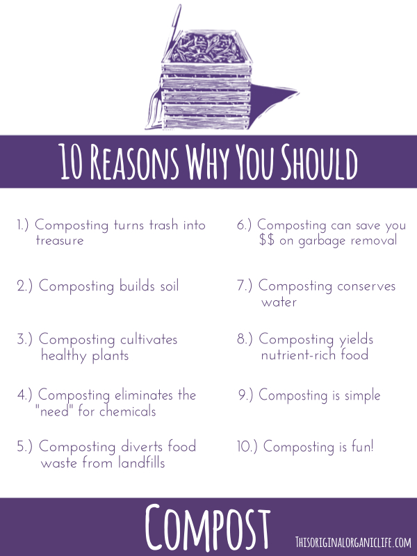 10 reasons why you should compost, composting, gardening, go green, homesteading