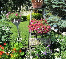 anatomy of a cottage garden, flowers, gardening, perennials