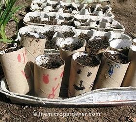 seed starting guide quick tips for starting seeds successfully, container gardening, gardening, Toilet roll egg carton seed raisers