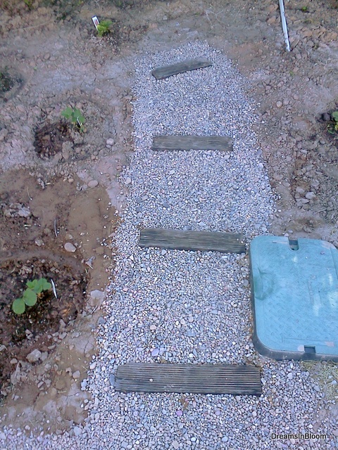 partly recycled strawberry garden path, gardening, outdoor living, repurposing upcycling, Old ladder strawberry garden path