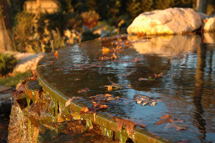 fotos de outono favoritas no vanishing edge pond timo momento para cores texturas, Lagoa de borda de fuga projetada e constru da em Eatons Neck Long Island