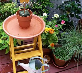 it s all about the birds birdhouses baths and feeders in our garden, gardening, outdoor living, pets animals, repurposing upcycling, Diy Step Stool Birdbath provides water see the post