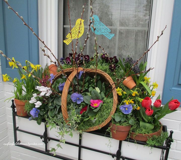 spring windowbox time, gardening, Spring Window box filled with blooms