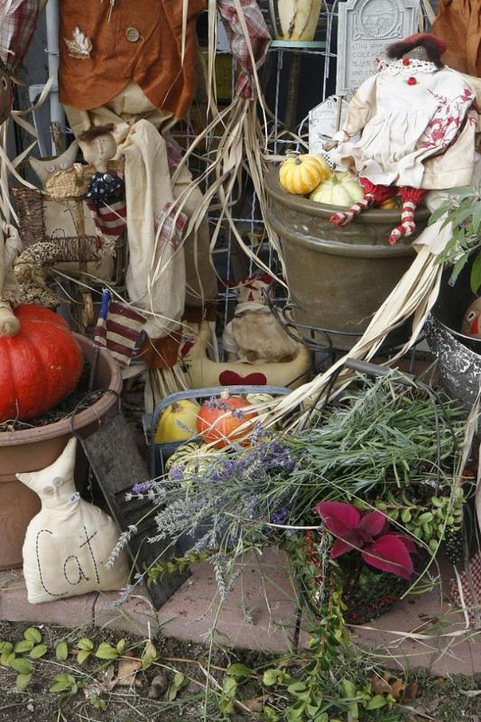 decorating for fall ooops bought real food, gardening, seasonal holiday decor