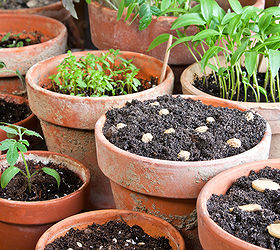 how to repot houseplants, gardening