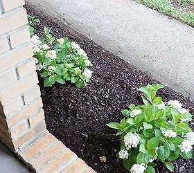 cleaning out the flower bed, cleaning tips