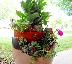 broken pot garden, My 2nd broken pot garden I bought this broken pot at Lowe s I paid 10 00 for a 40 00 pot My hubby thought I was nuts I thought it was a good deal