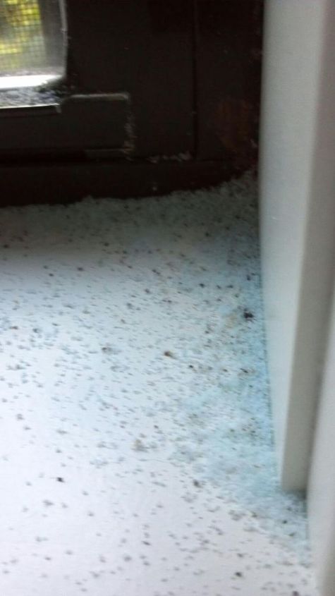 what is this mysterious blue powder that keeps collecting on the inside of our window