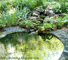 Making an Inexpensive Garden Pond