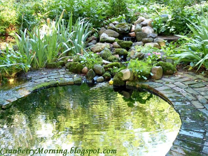 making an inexpensive garden pond, outdoor living, perennial, ponds water features, This is a recent favorite photo showing the little stream with three waterfalls that flows into the garden pond