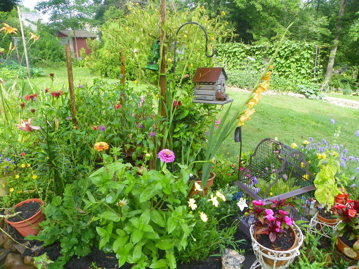 my garden s, gardening