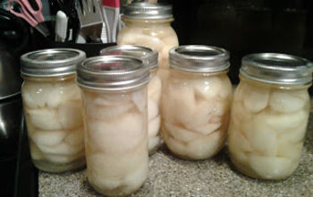 Canning Split Pears in Light Syrup