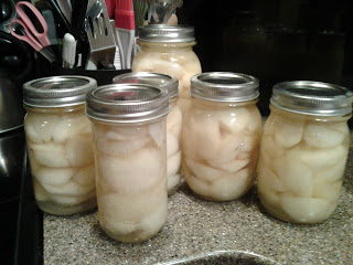 canning split pears in light syrup, homesteading