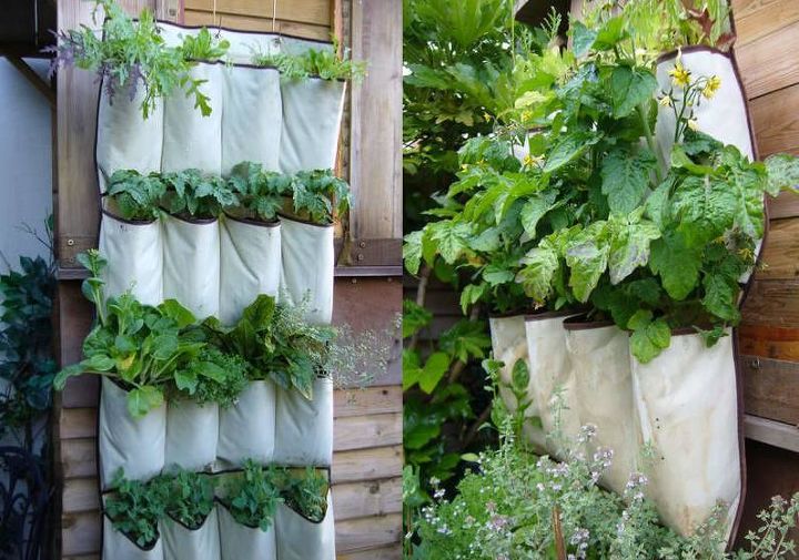 recycling, gardening, repurposing upcycling, great reuse of shoe or toiletry holders
