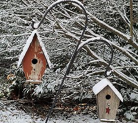 january winter garden, outdoor living, seasonal holiday decor, birdhouses in the back garden