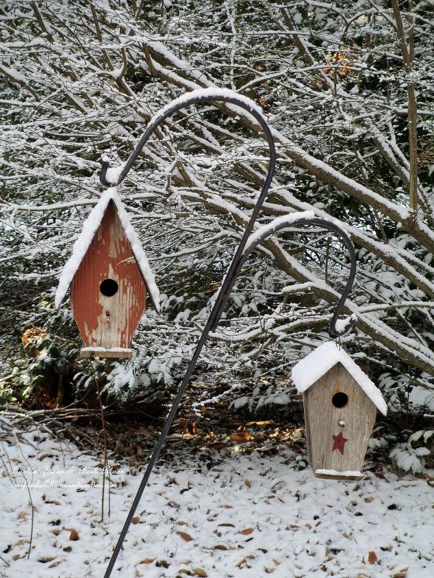 january winter garden, outdoor living, seasonal holiday decor, birdhouses in the back garden