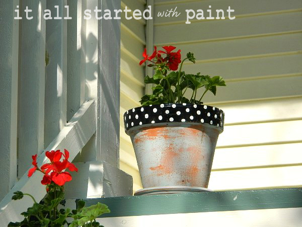 aging and painting new terracotta pots, gardening, painting, Aged and polka dot painted terracotta pots