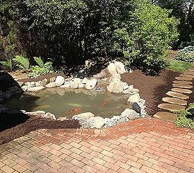 pond renovation, outdoor living, ponds water features