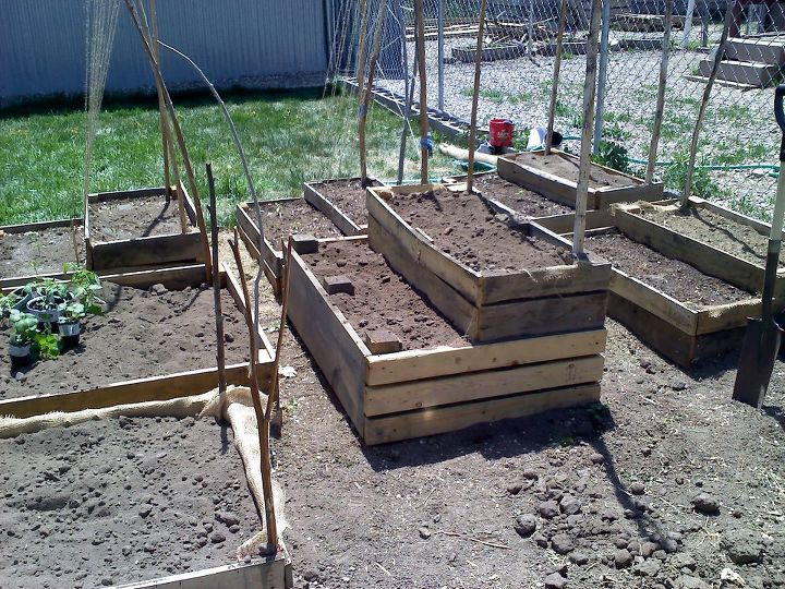 our new garden project, gardening, pallet, Newly Constructed Garden Boxes