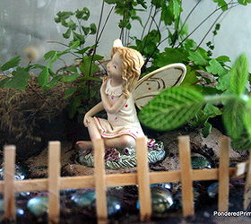 what is it about these tiny little fairy gardens that is so appealing, gardening, home decor, terrarium, The picket fence is made from wooden stir sticks hot glued together
