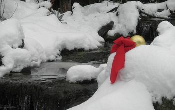 Give the Gift of a Water Feature at Christmas. Reconnect With Nature..
