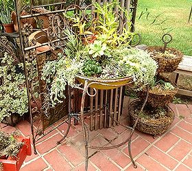 gardening, gardening, succulents, Newly planted iron chair
