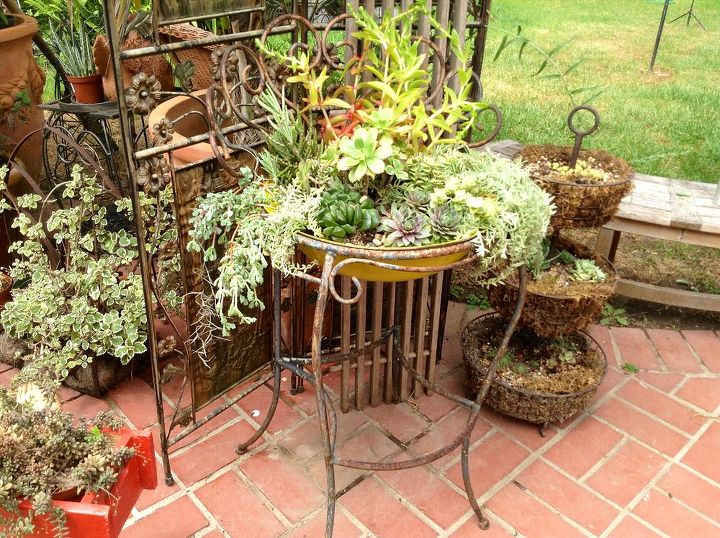 gardening, gardening, succulents, Newly planted iron chair